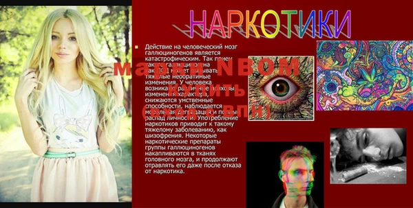 прущие грибы Балахна