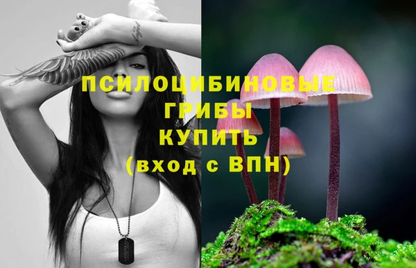 spice Аркадак