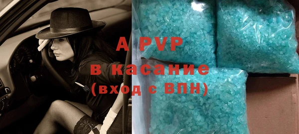 прущие грибы Балахна