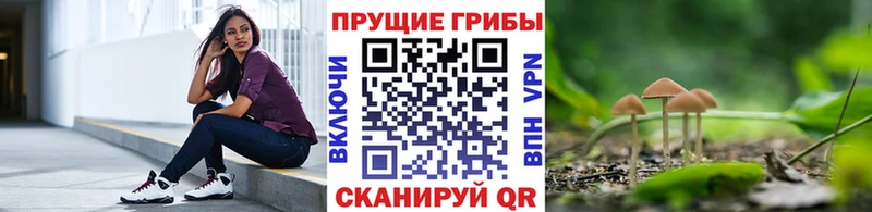 Купить закладки  Тихвин  Псилоцибиновые грибы мухоморы 
